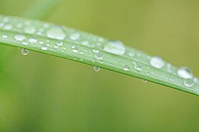 内部人士称PS5《CoD18：先锋》战役看起来效果出色